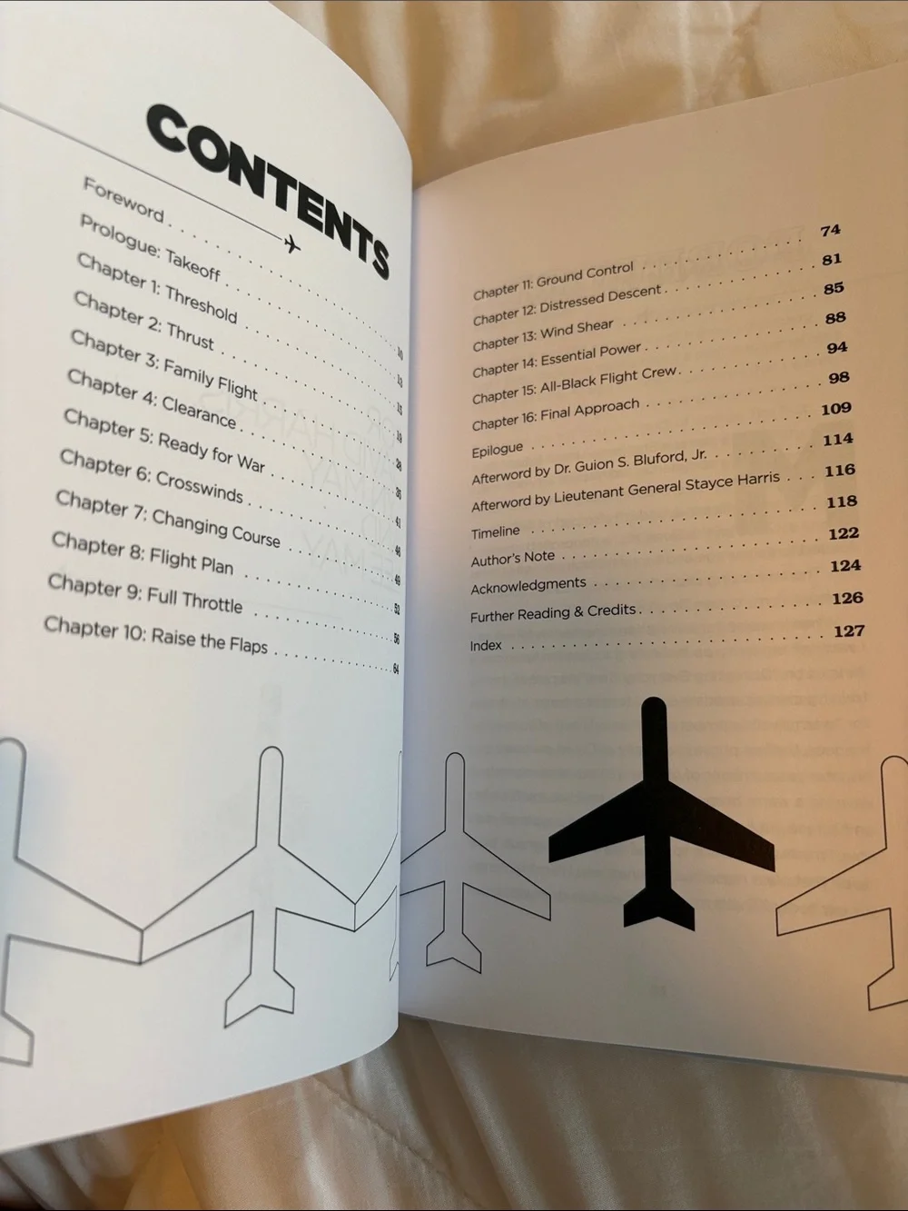 Segregated skies book